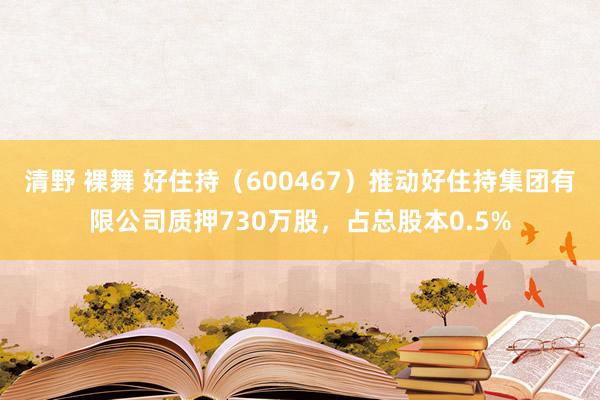 清野 裸舞 好住持（600467）推动好住持集团有限公司质押730万股，占总股本0.5%
