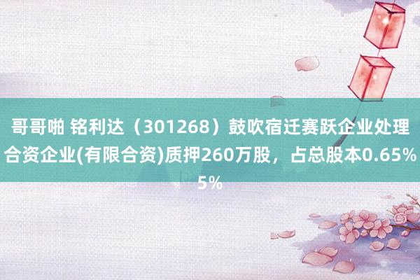 哥哥啪 铭利达（301268）鼓吹宿迁赛跃企业处理合资企业(有限合资)质押260万股，占总股本0.65%