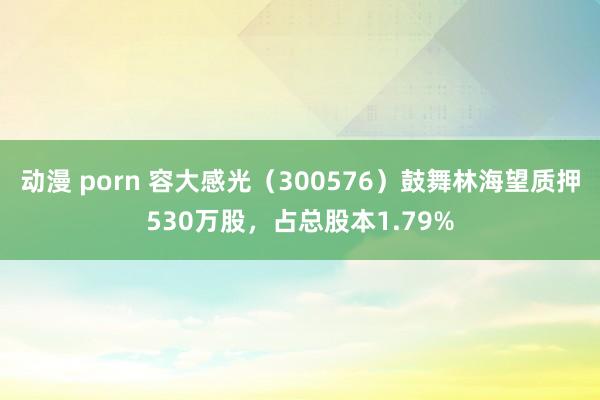 动漫 porn 容大感光（300576）鼓舞林海望质押530万股，占总股本1.79%