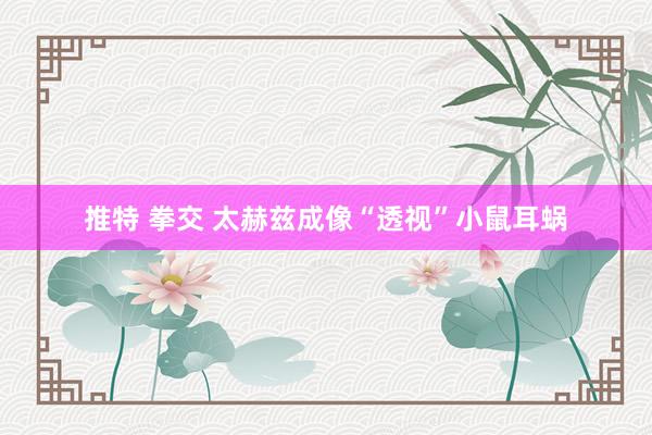 推特 拳交 太赫兹成像“透视”小鼠耳蜗