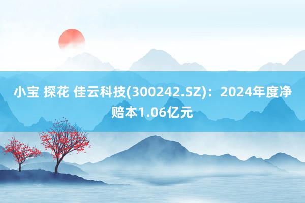 小宝 探花 佳云科技(300242.SZ)：2024年度净赔本1.06亿元