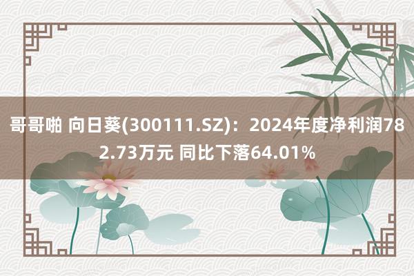 哥哥啪 向日葵(300111.SZ)：2024年度净利润782.73万元 同比下落64.01%
