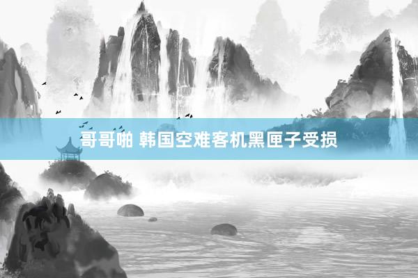 哥哥啪 韩国空难客机黑匣子受损