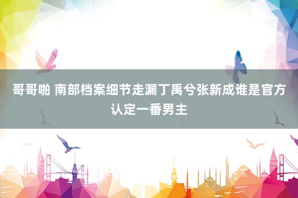 哥哥啪 南部档案细节走漏丁禹兮张新成谁是官方认定一番男主