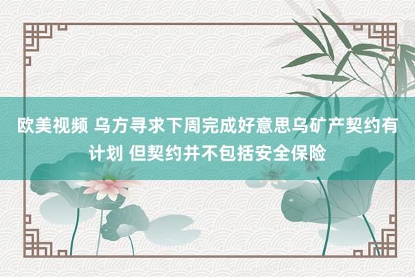 欧美视频 乌方寻求下周完成好意思乌矿产契约有计划 但契约并不包括安全保险
