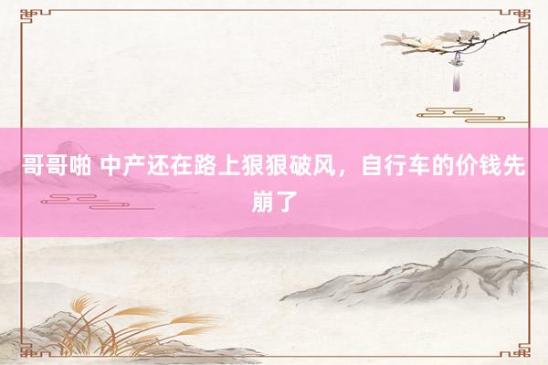 哥哥啪 中产还在路上狠狠破风，自行车的价钱先崩了