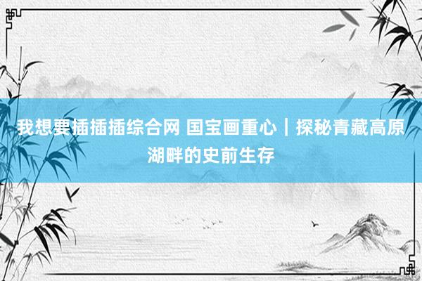 我想要插插插综合网 国宝画重心｜探秘青藏高原湖畔的史前生存