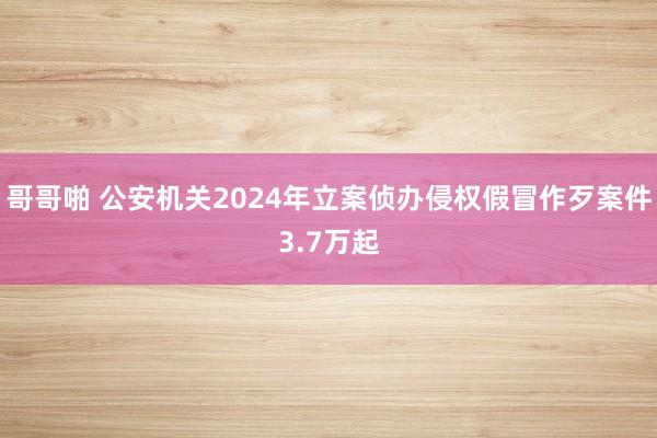 哥哥啪 公安机关2024年立案侦办侵权假冒作歹案件3.7万起